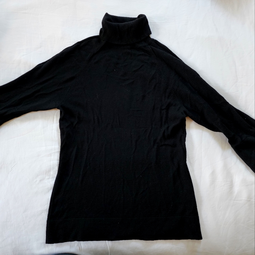 Max Mara Turtleneck